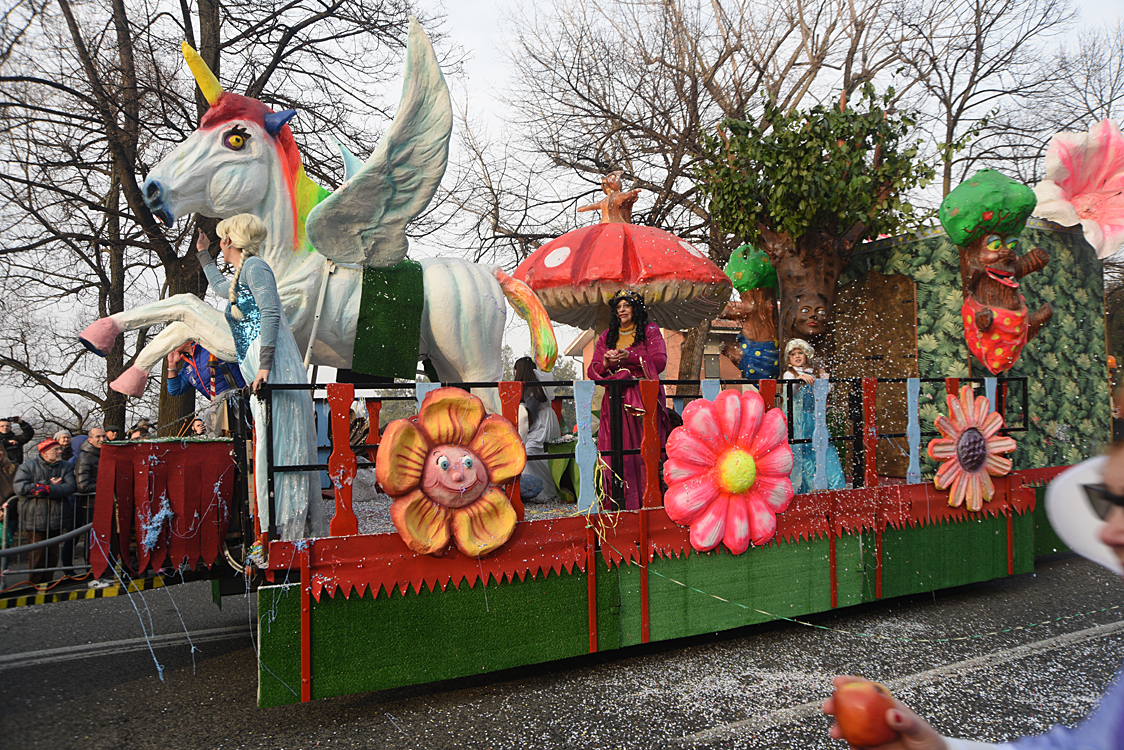 Sfilata carri Carnevale di Torino_136.jpg